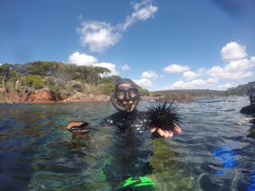 Diver smiling as they hold a catch of sea urchin and abalone.