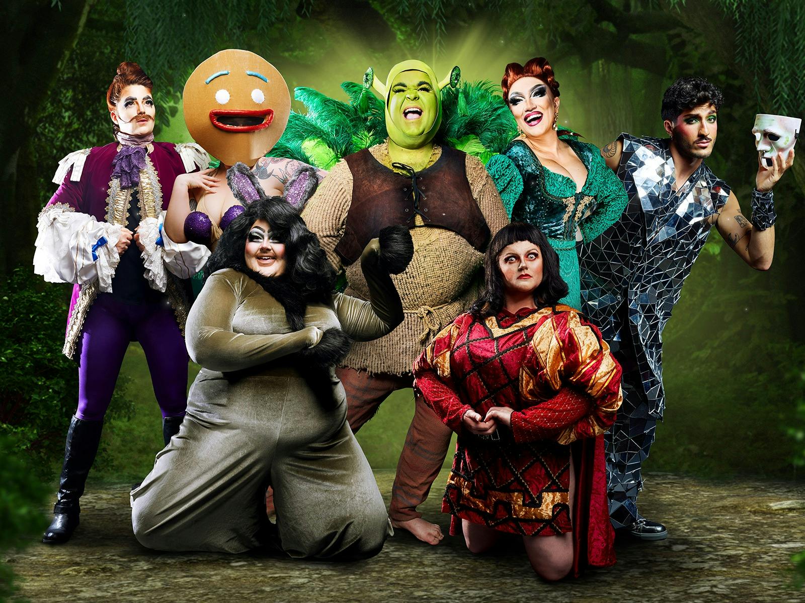 An ensemble photos of a camp, colourful, burleque troupe with fairy tale themes