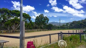 The Saddle Camp
