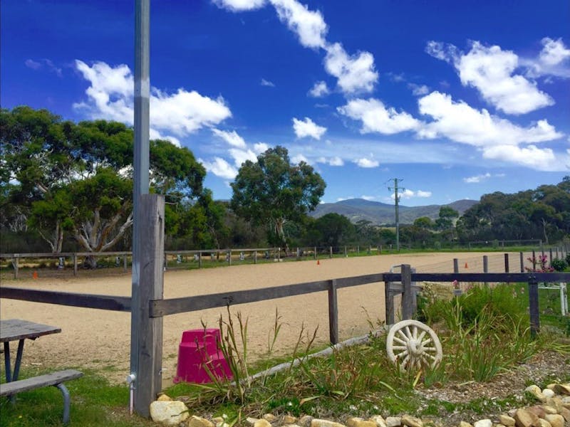 The Saddle Camp NSW Holidays & Things to Do