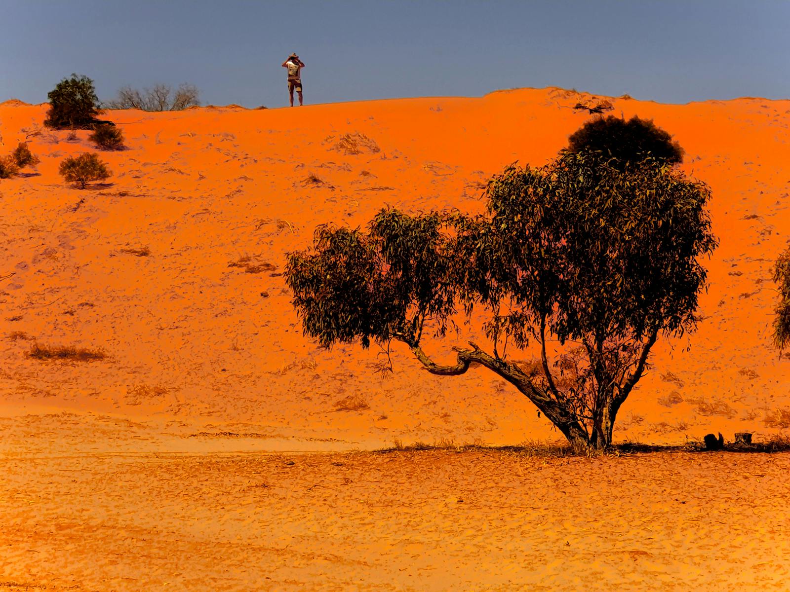 Image for Hay River and Madigan Line Simpson Desert 4wd Tag Along Tour