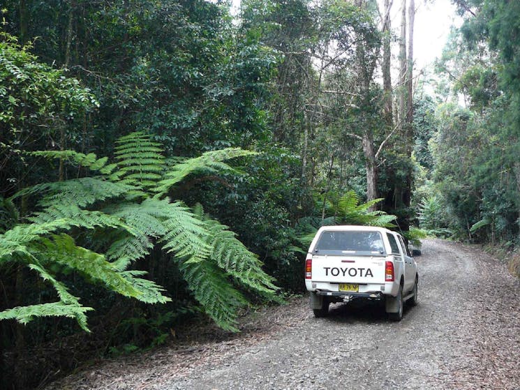 Range Road, Bindarri National Park