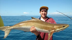 COBIA