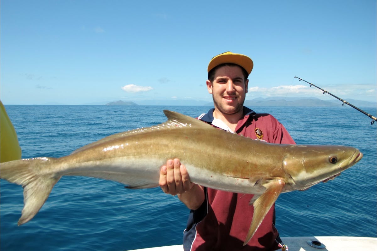 COBIA