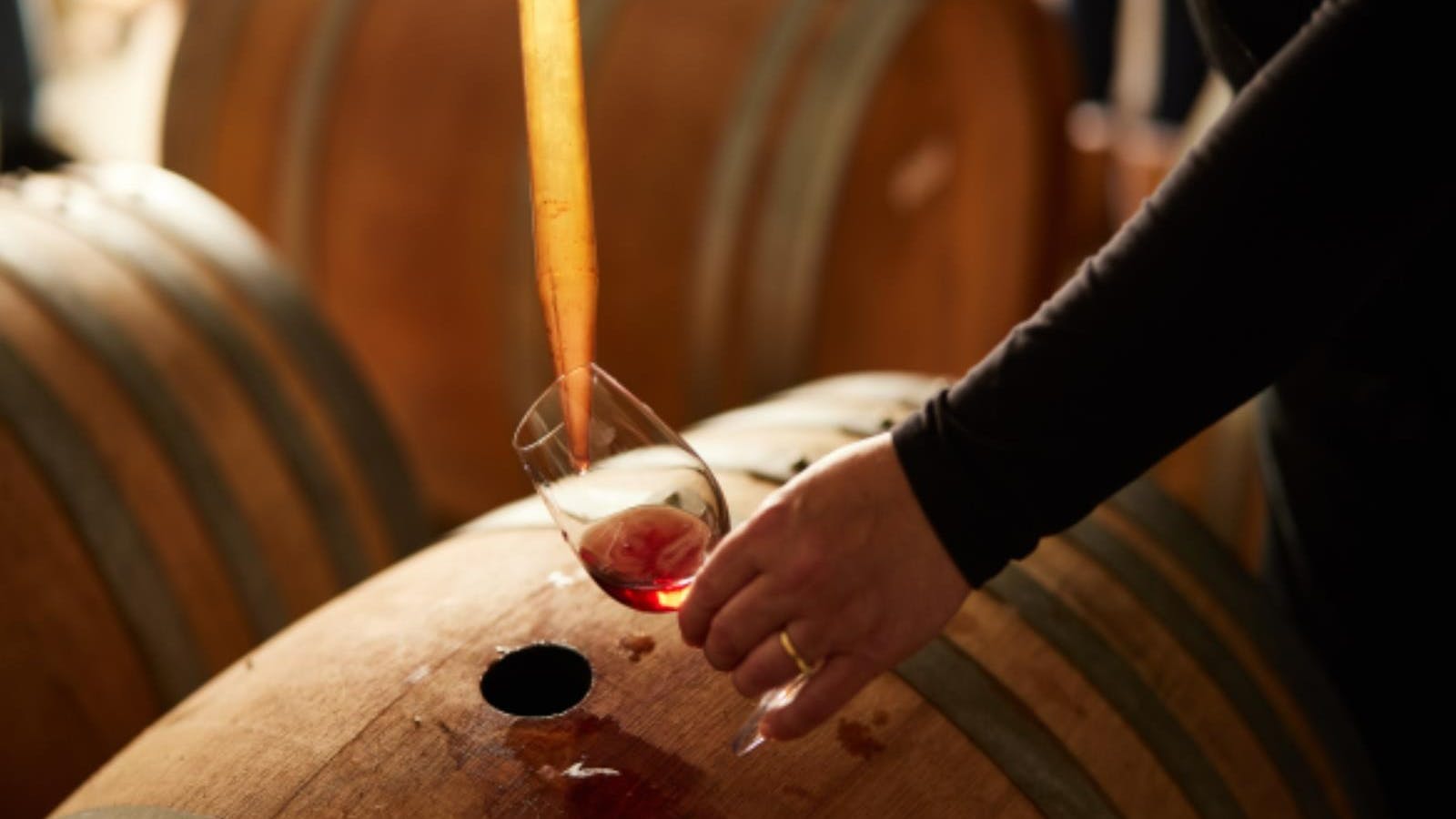 Wine Sampling direct from the barrels