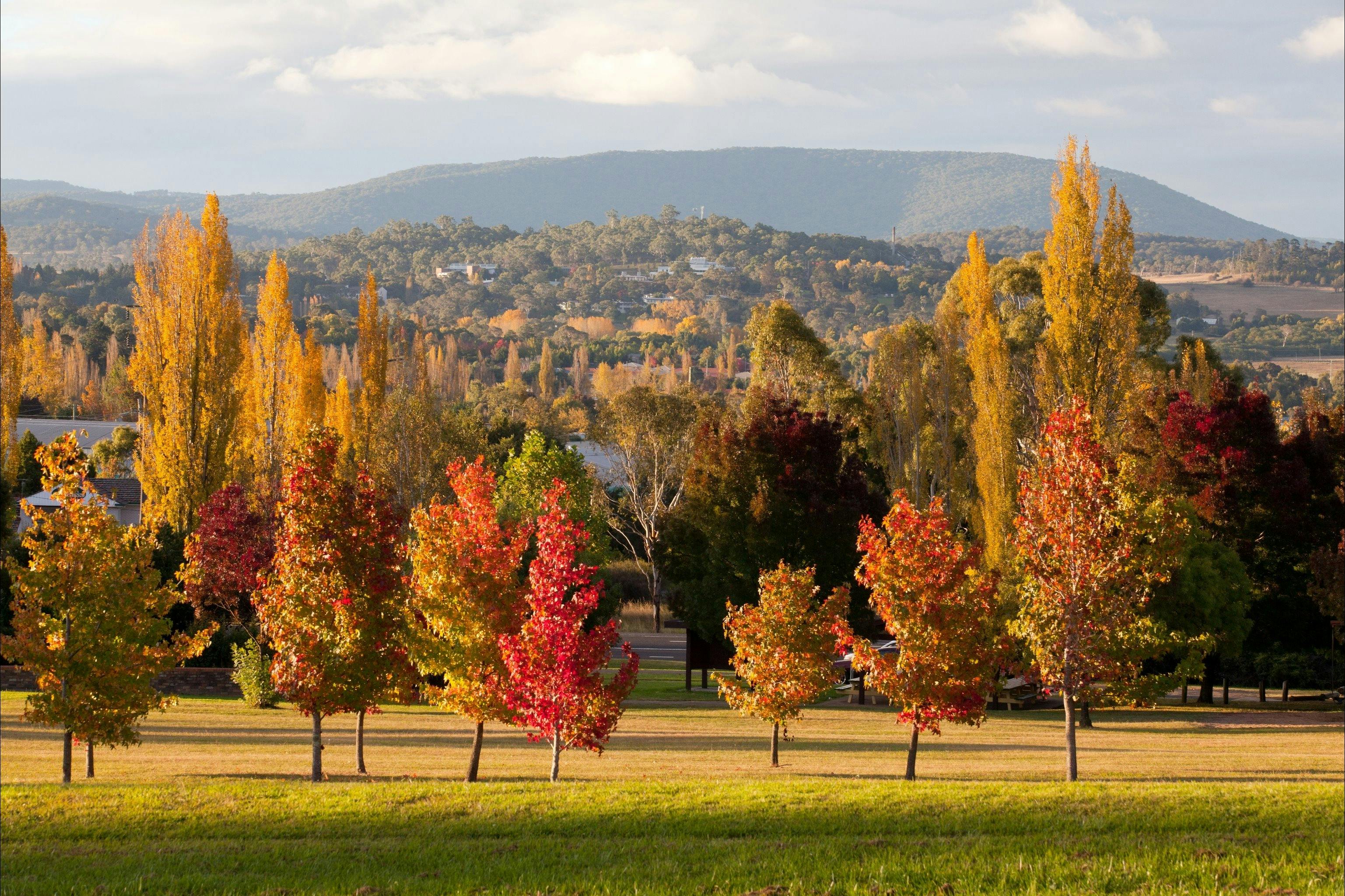 Armidale-Arboretum