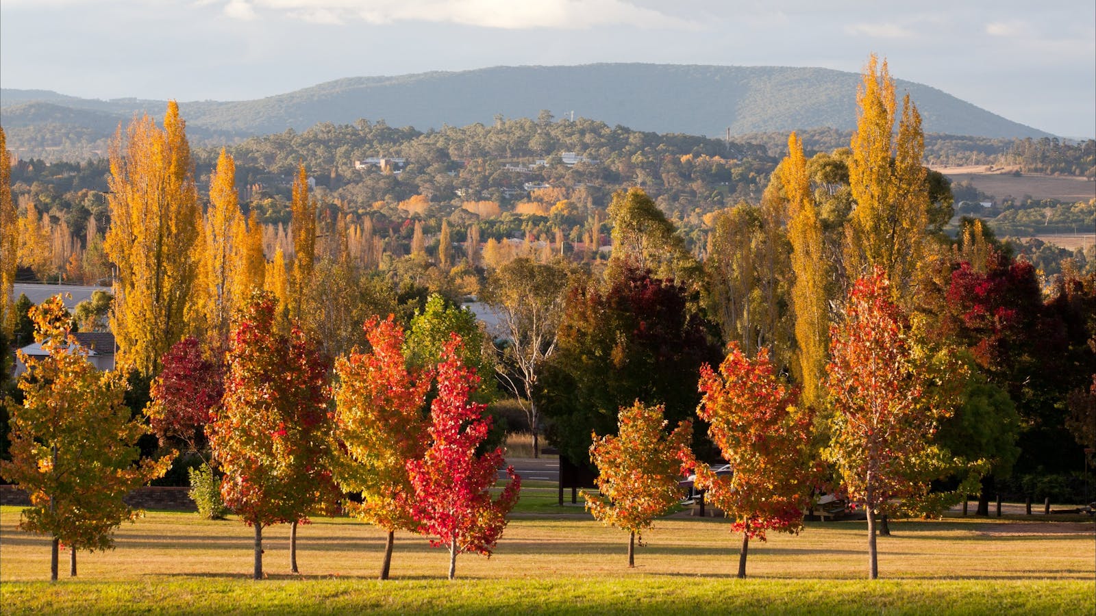 Armidale Arboretum