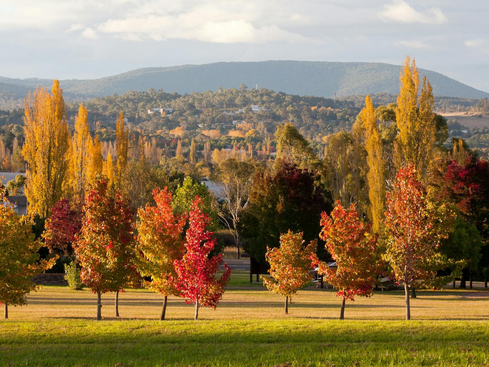 Armidale-Arboretum