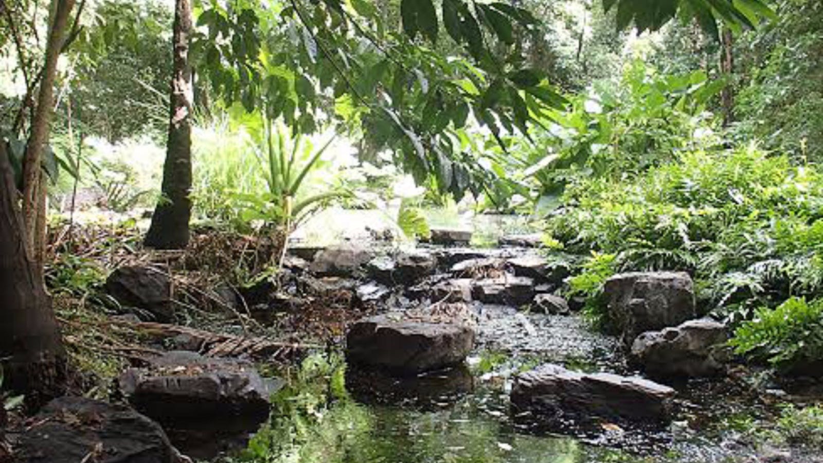 Redcliffe Botanic Gardens