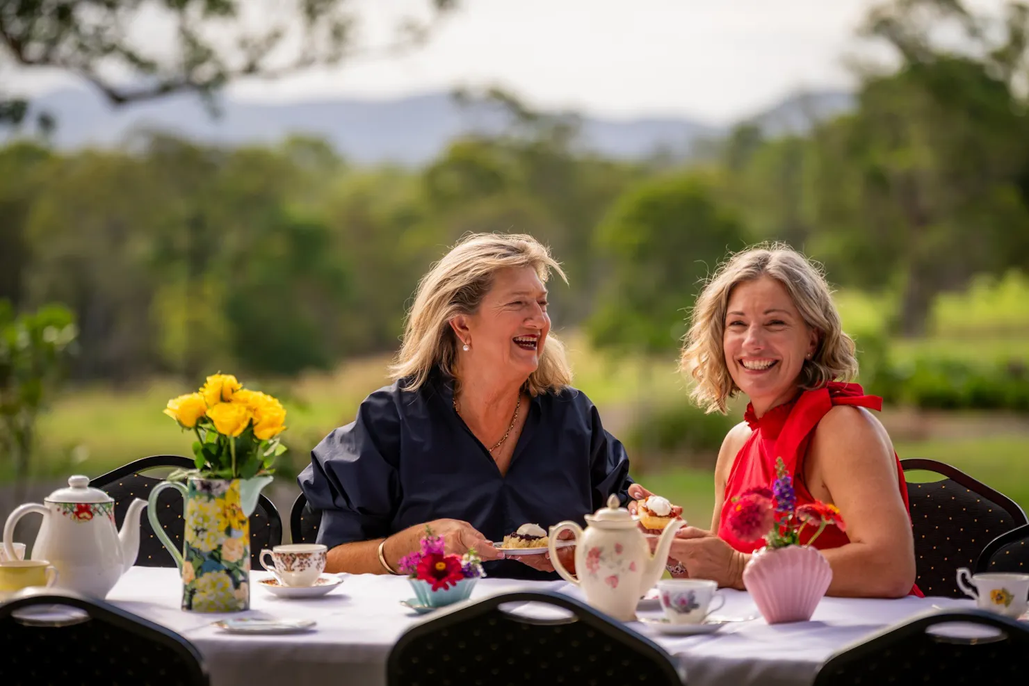 Sconeversations at Stockyard Valley