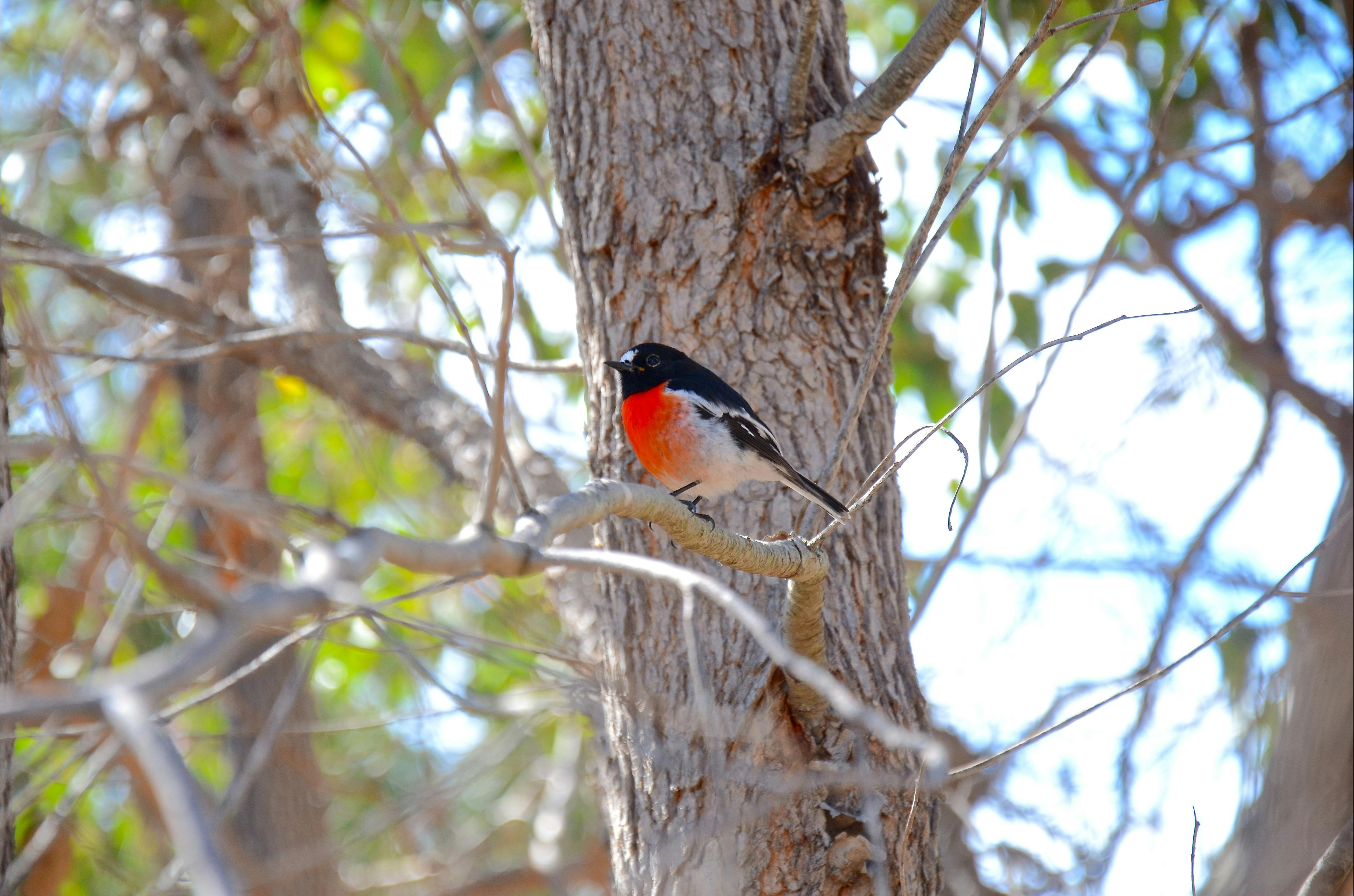South West Eco Discoveries, Abbey, Western Australia