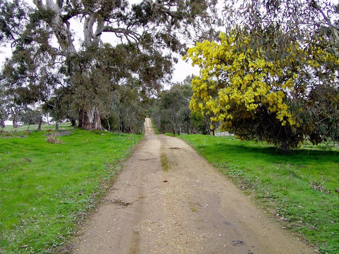 Lavender Federation Trail