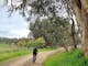 Cyclist on Gravel Road, puddles, green grass & trees on right, farmland, light green bushes on left