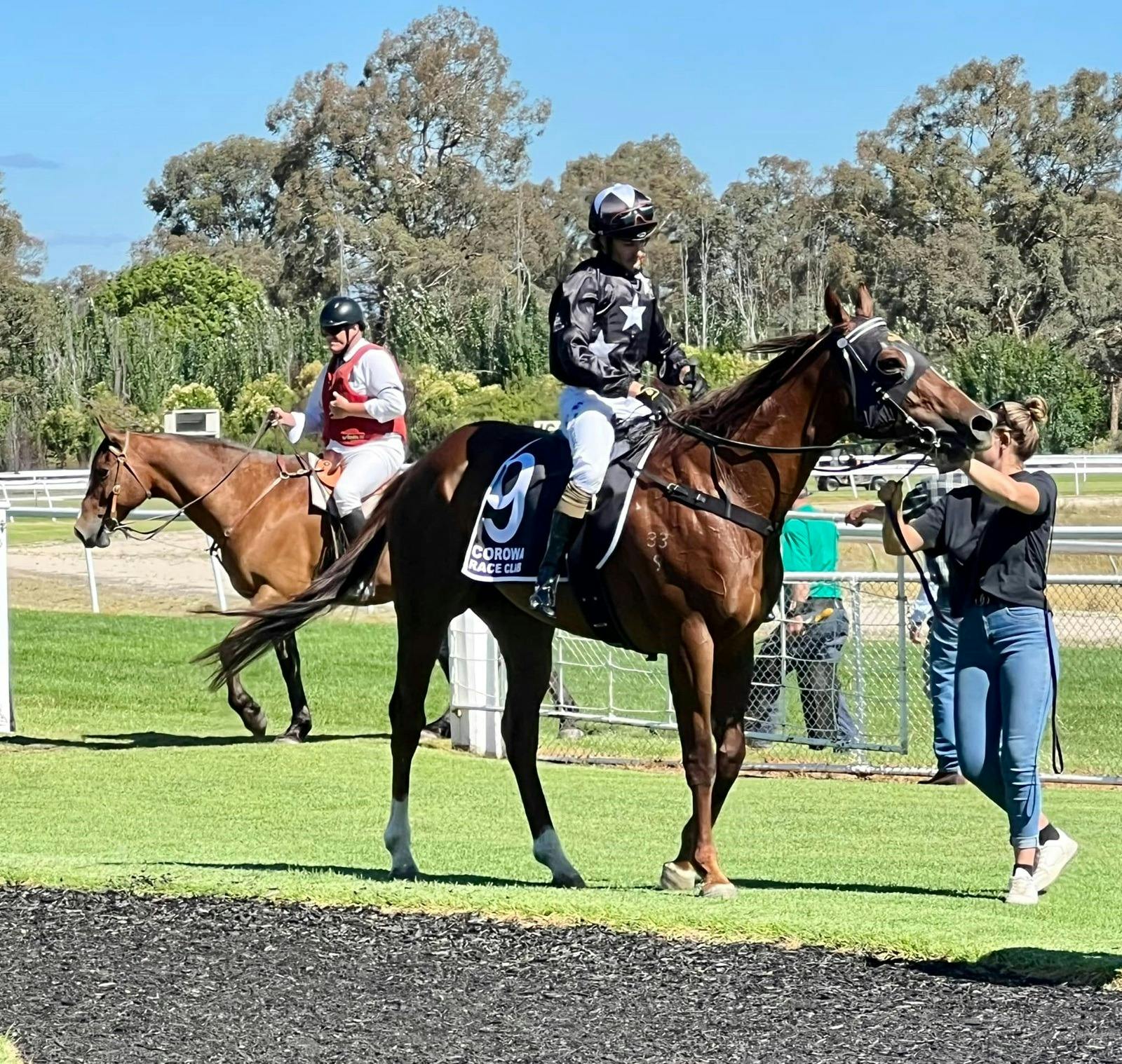 Horse