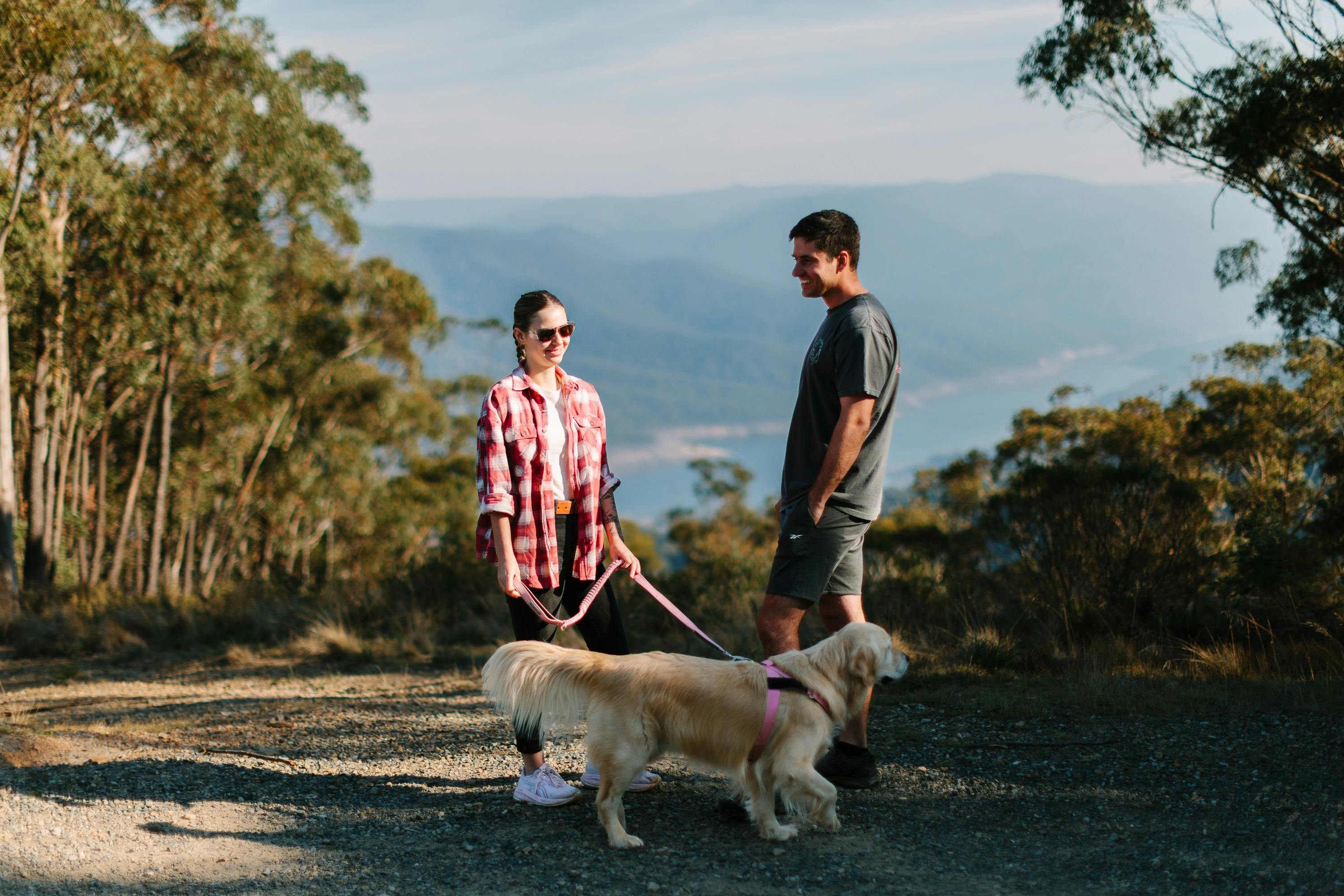 Two people and a dog at a lookout with a lake in background