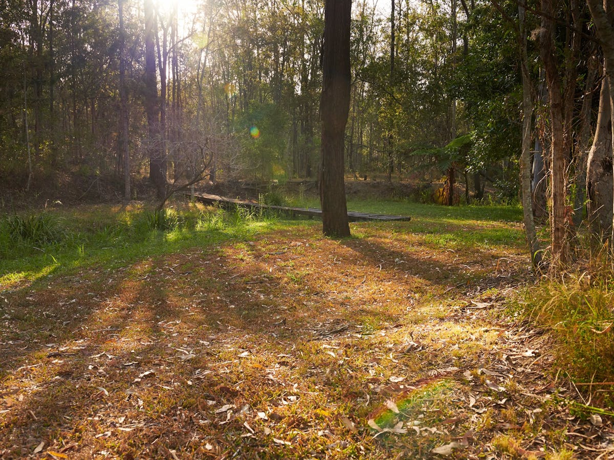 Walter Zimmerman Park