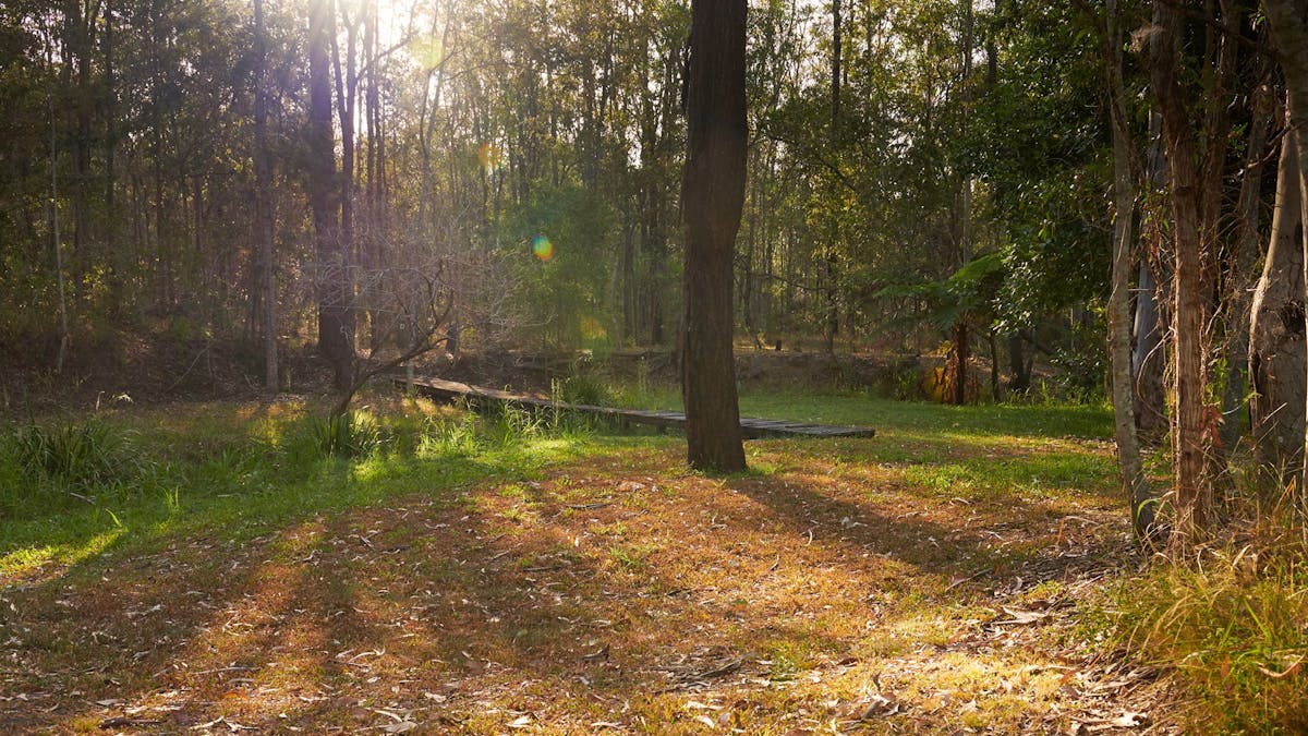 Walter Zimmerman Park