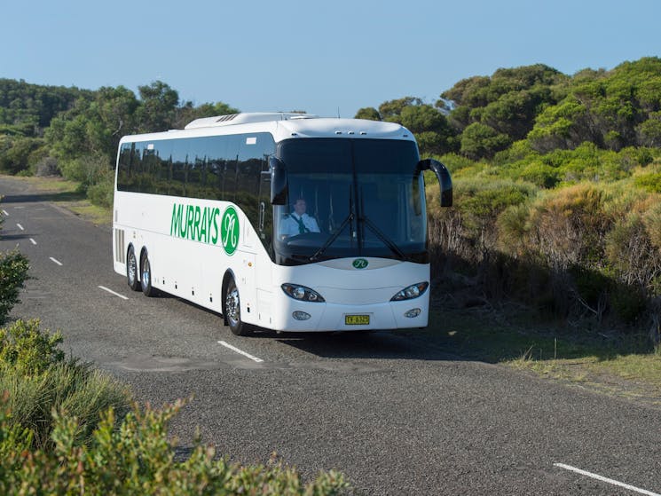 A Murrays Coach on the road