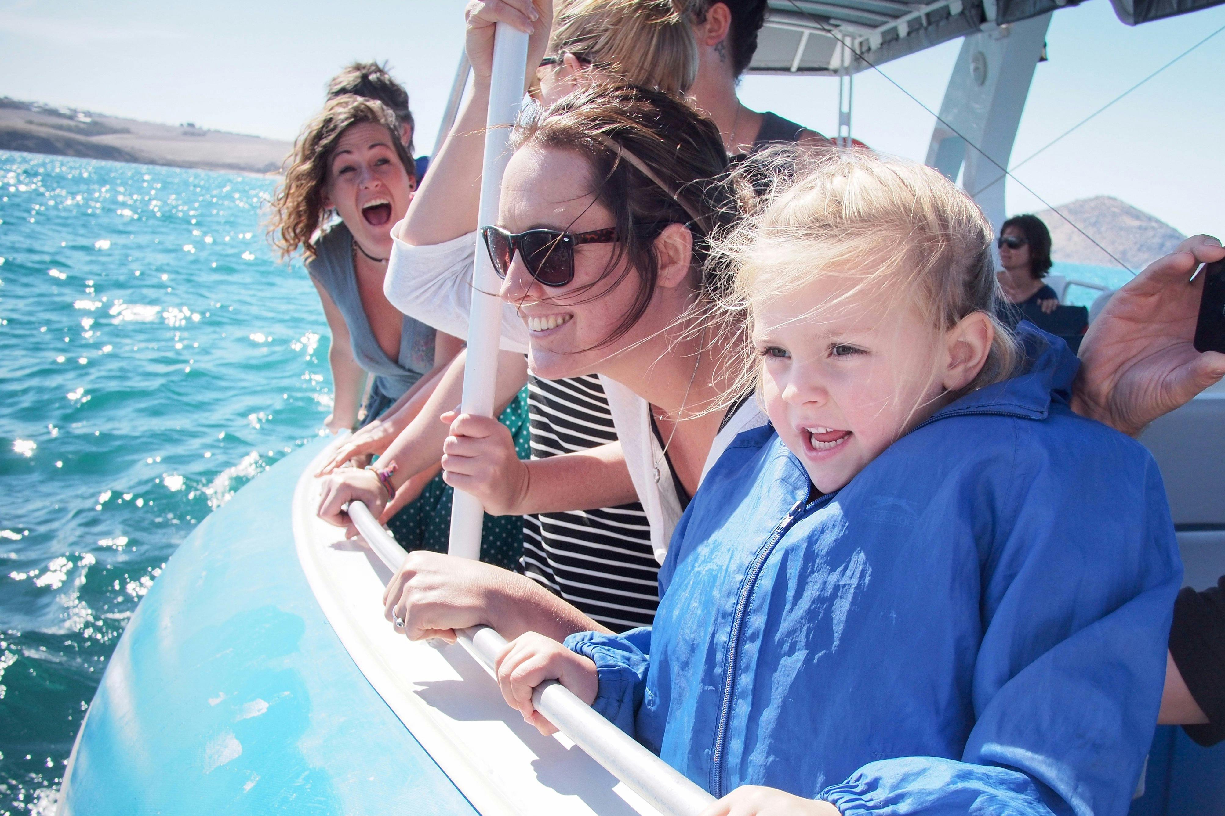 Excited to see dolphins