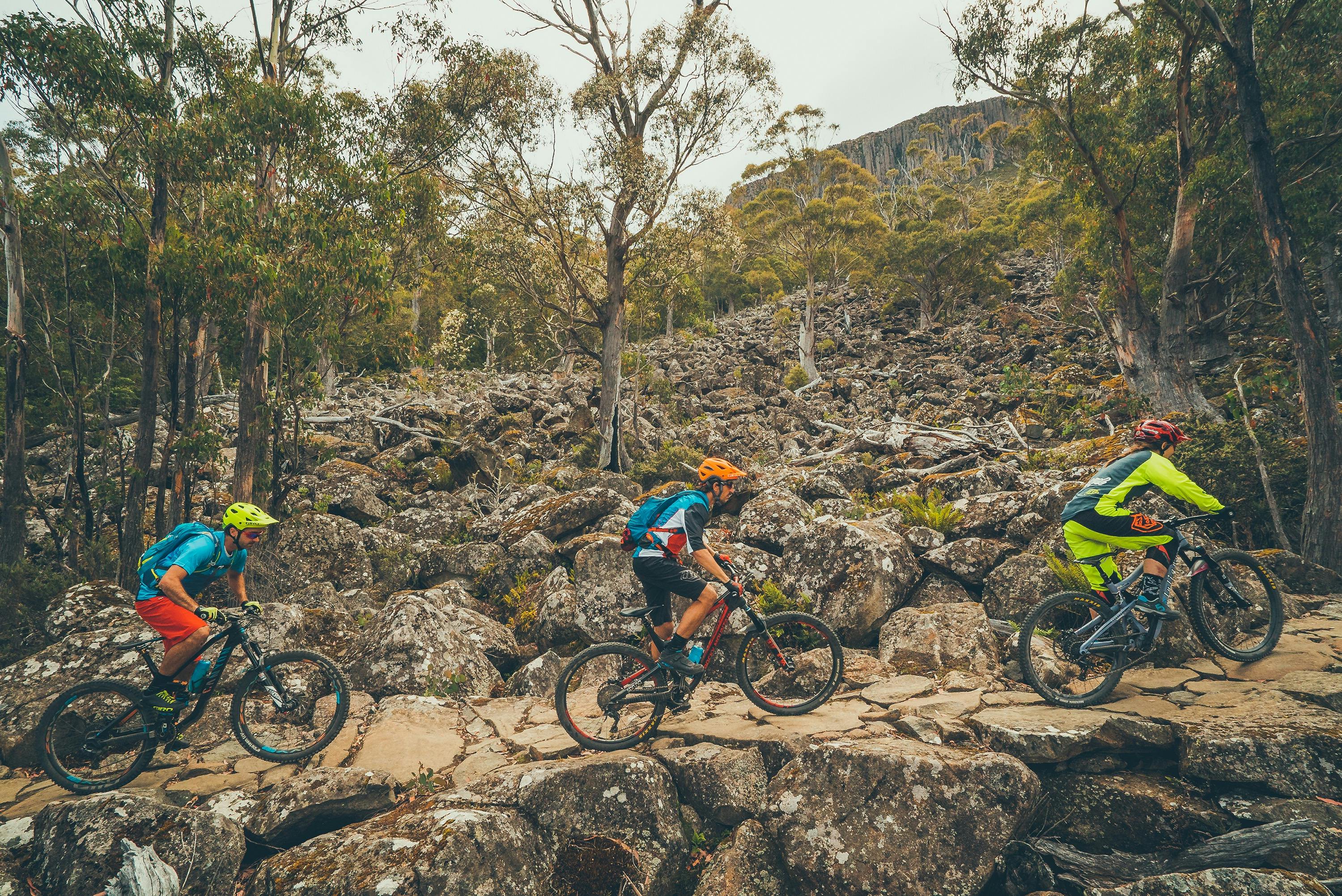 Mountain bike riders on the North South Track, kunanyi/Mt Wellington.