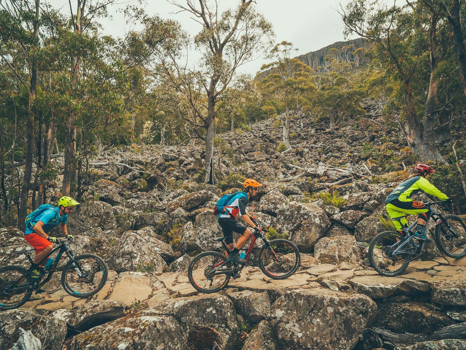 Mountain bike riders on the North South Track, kunanyi/Mt Wellington.
