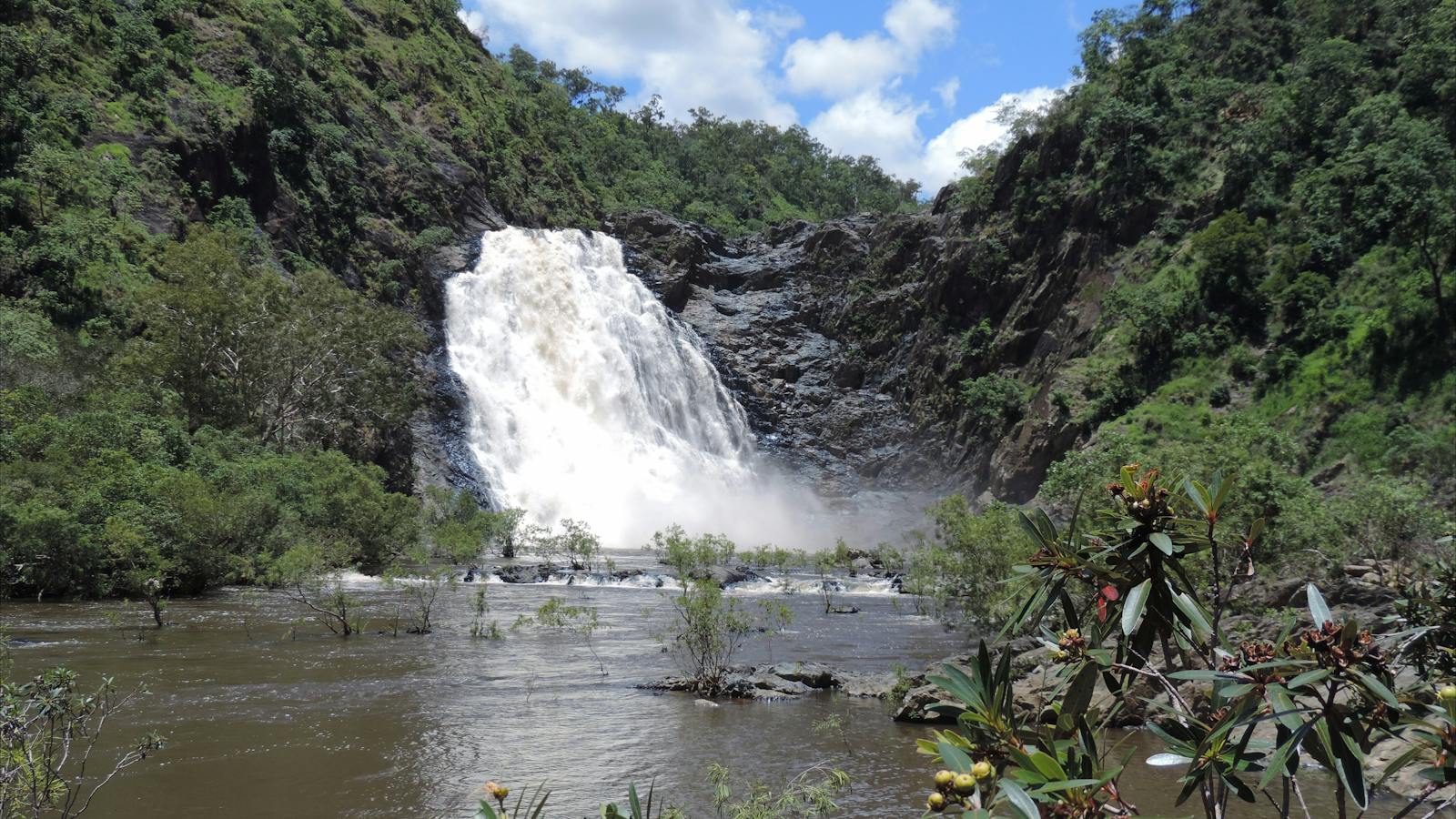 Bloomfield Falls touring with Tony's Tropical Tours