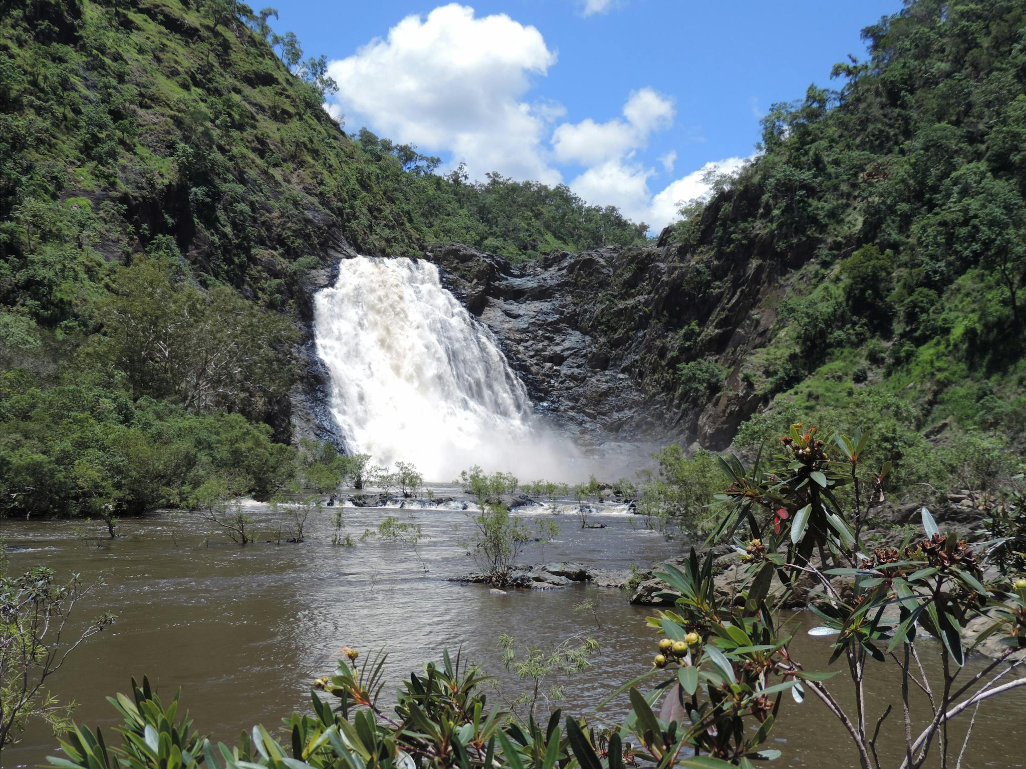 Bloomfield Falls touring with Tony's Tropical Tours Bloomfield Falls touring with Tony's Tropical Tours