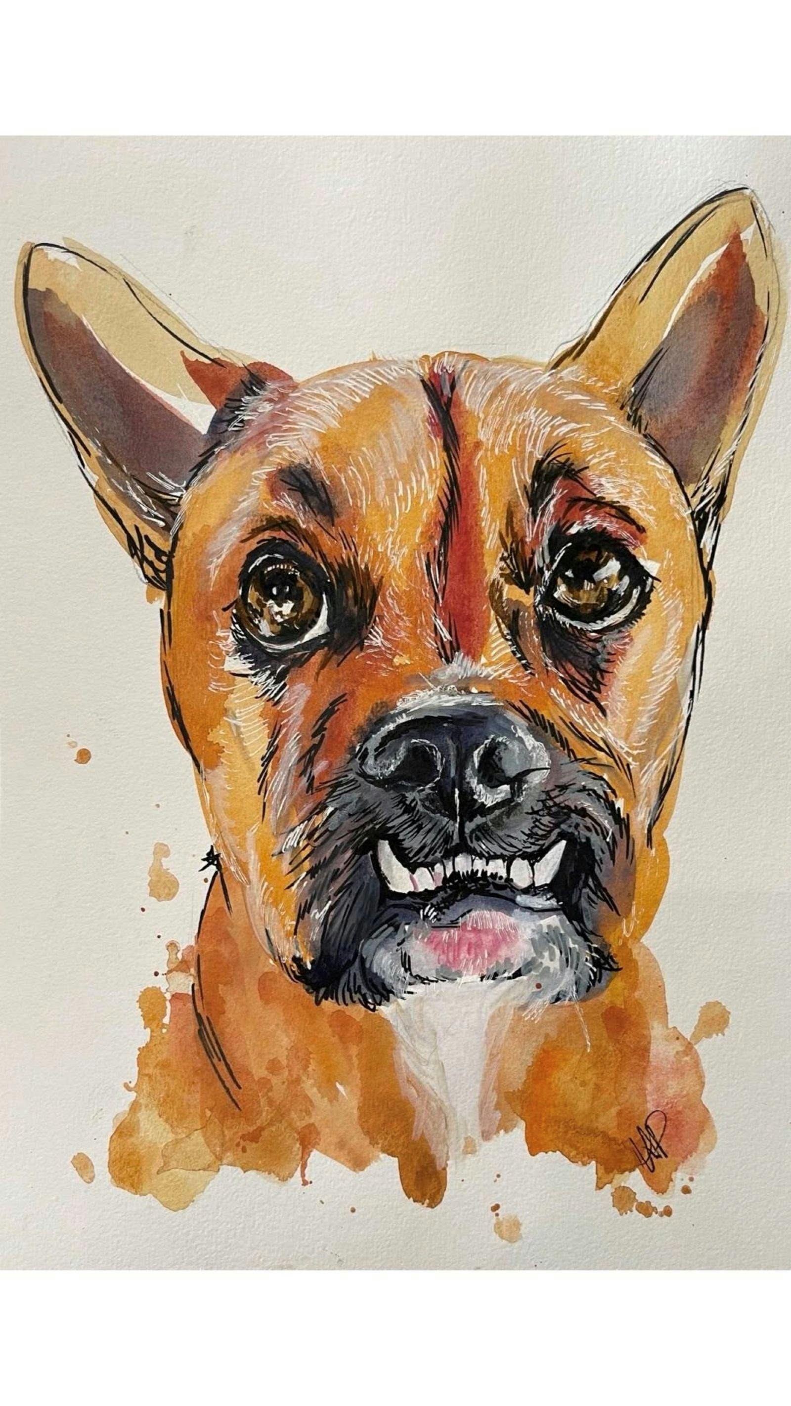 Brew Dog of the Month at Stony Creek Brewing Company