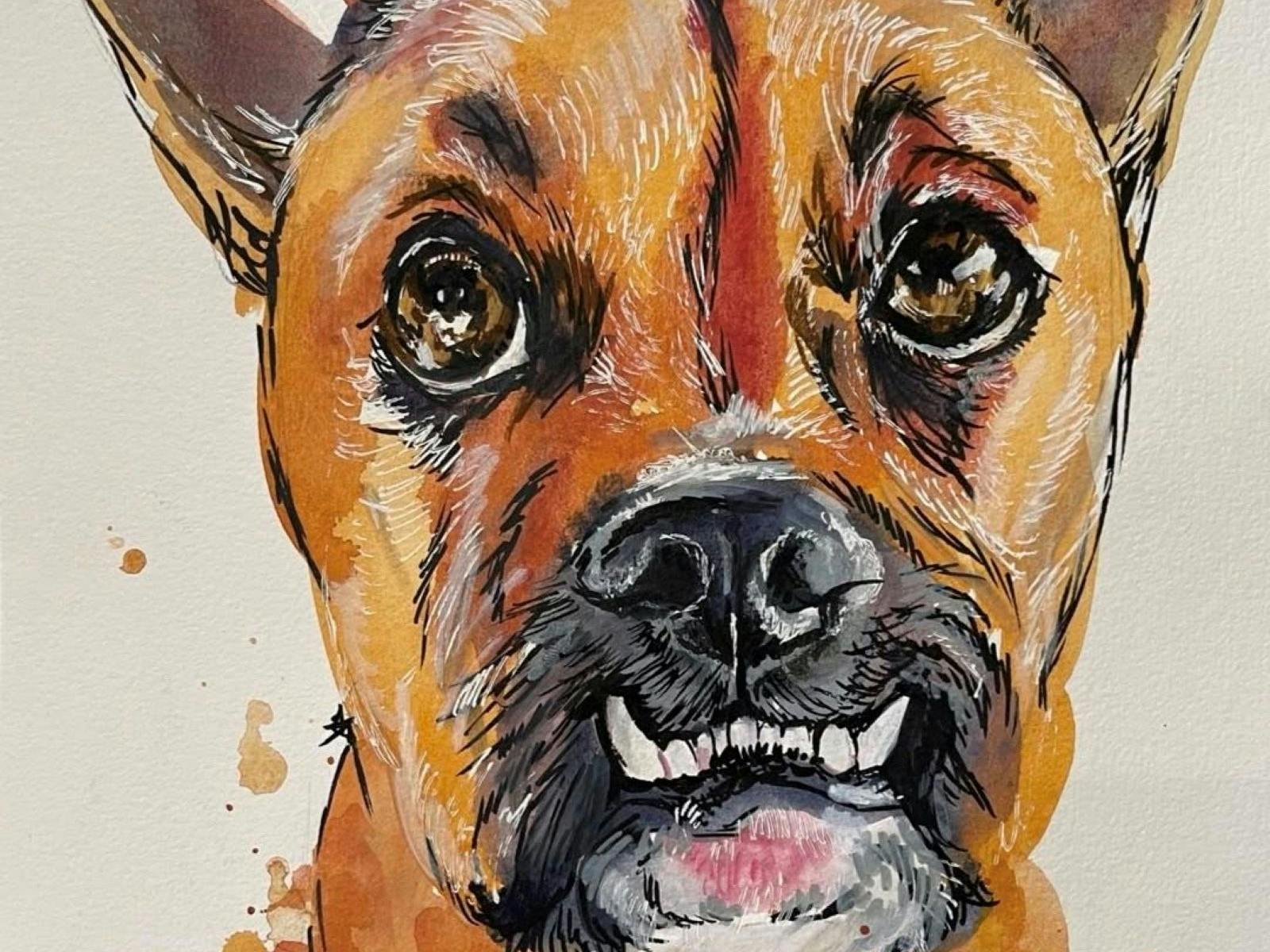 dog dog