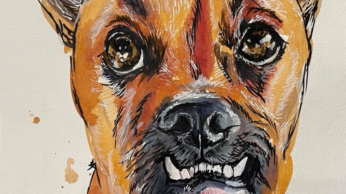 dog