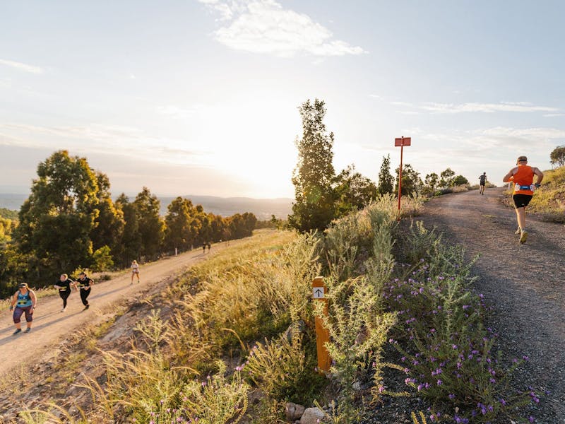 Image for 14th Stromlo Running Festival