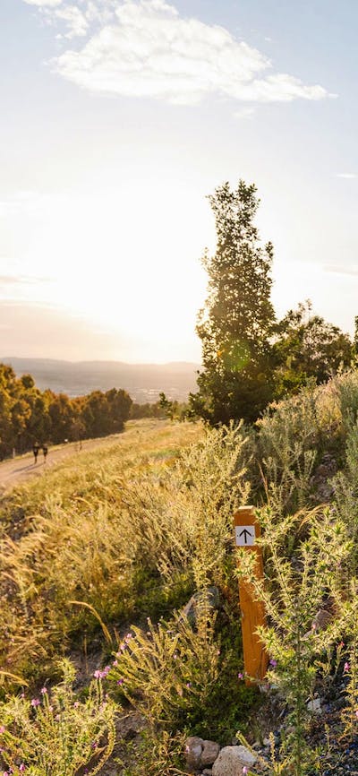 Stromlo Running Festival