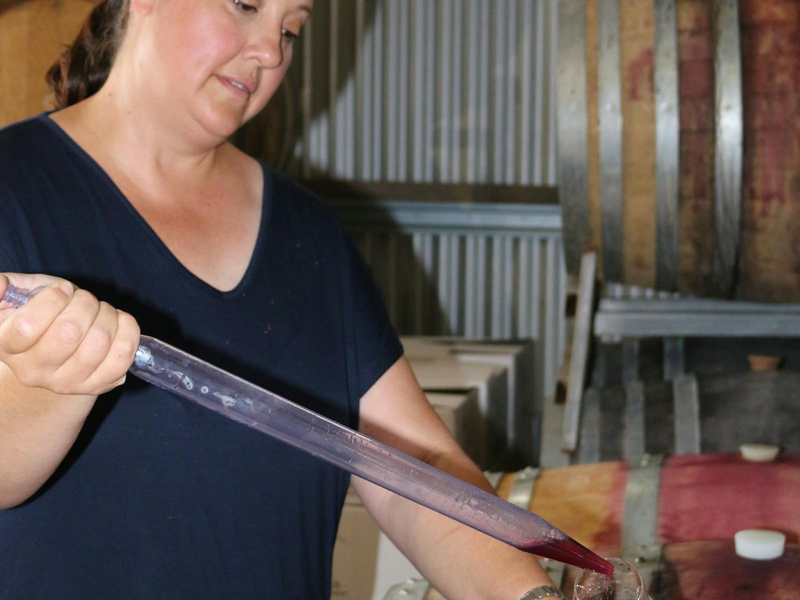 Barrel Tastings with the Wine maker