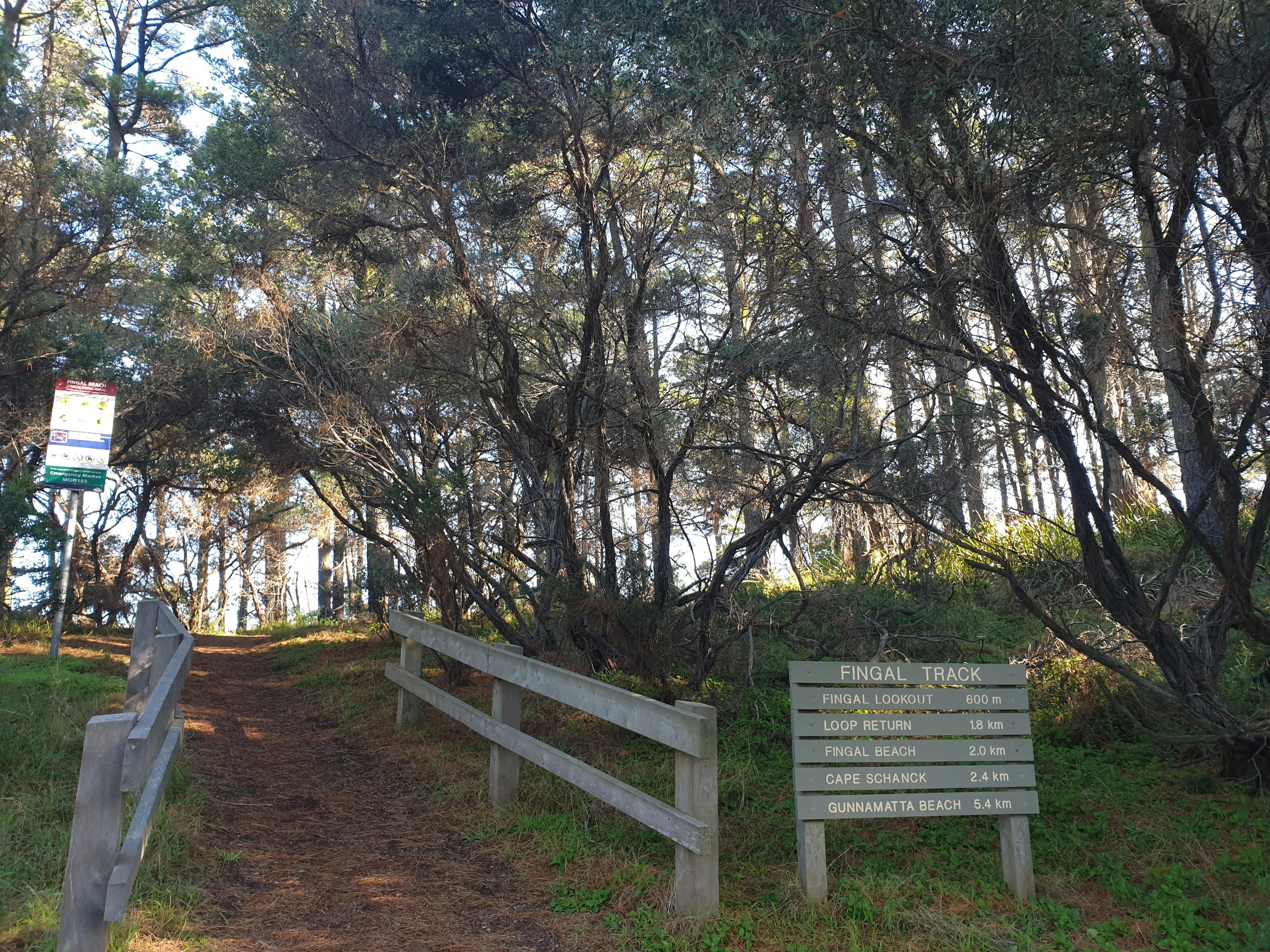 Cape Schanck to Gunnamatta Surf Beach (part of The Coastal Walk)