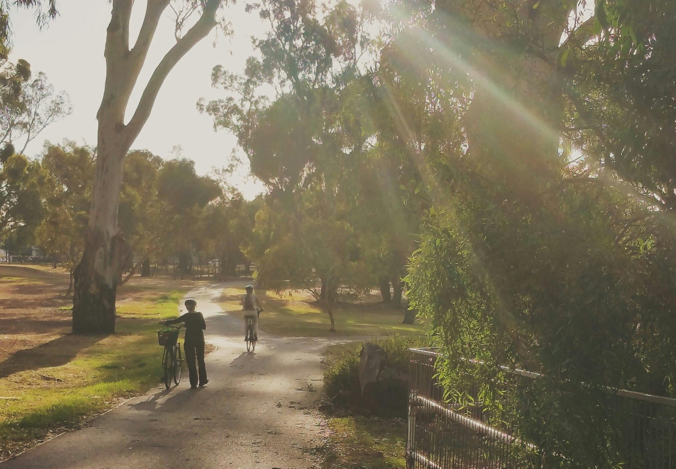 Guided walk through King Rodney Park / Ityamai-itpina (Park 15)