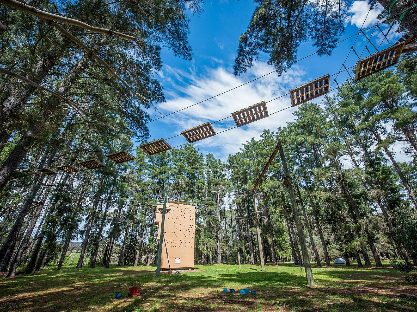 High Ropes Course in the forest