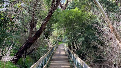Mulwaree River WalkWay - wooden bridge