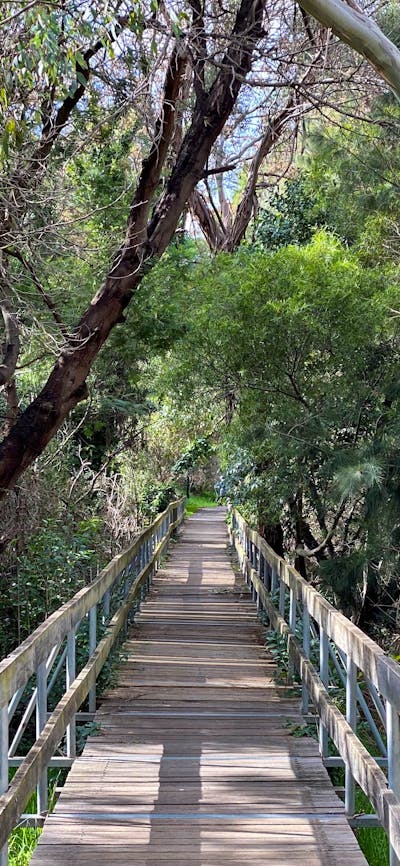 Mulwaree River WalkWay - wooden bridge