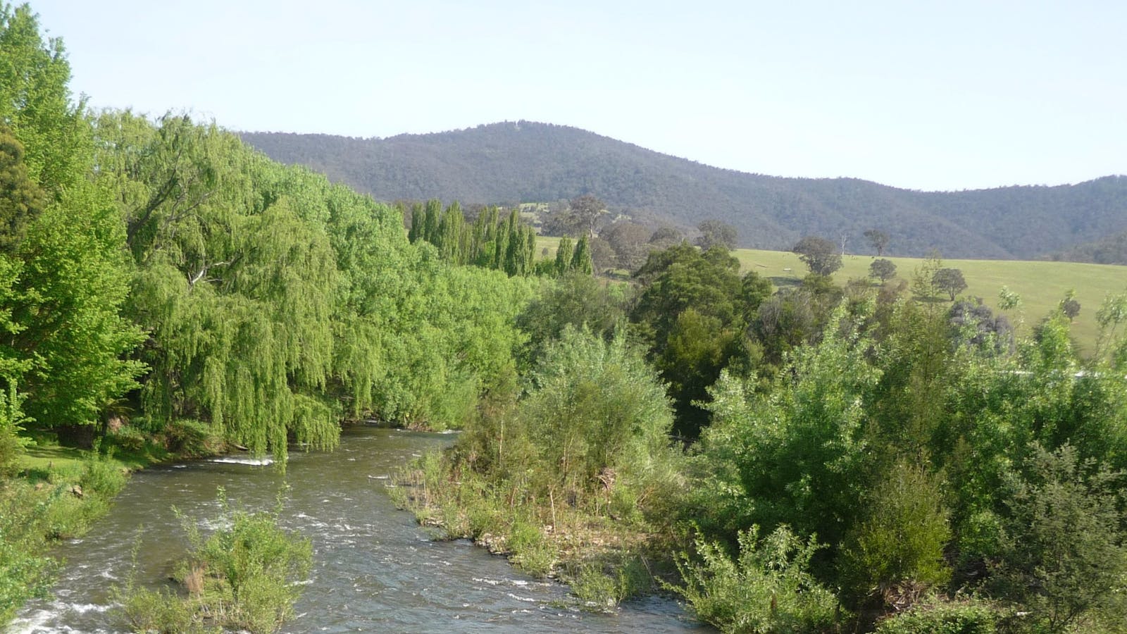 Dargo Heritage Museum