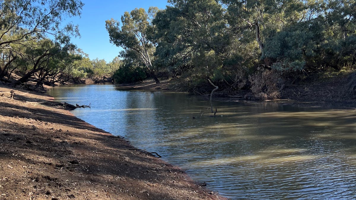 Yabbie Hole