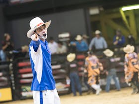 Brinson James the Entertainer