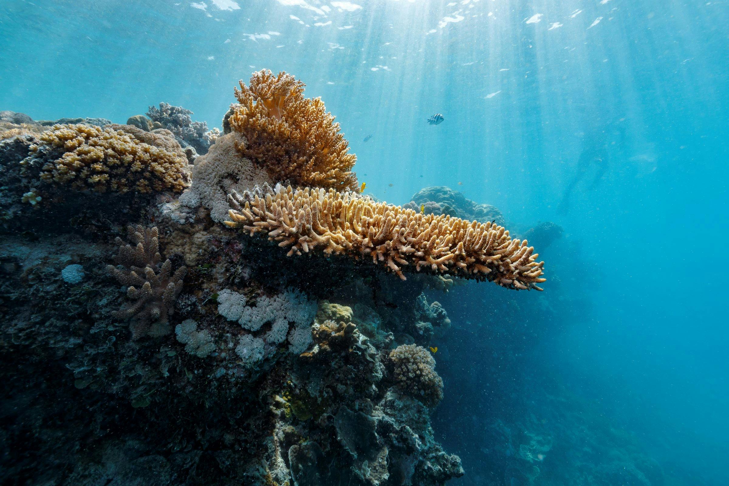 Great Barrier Reef