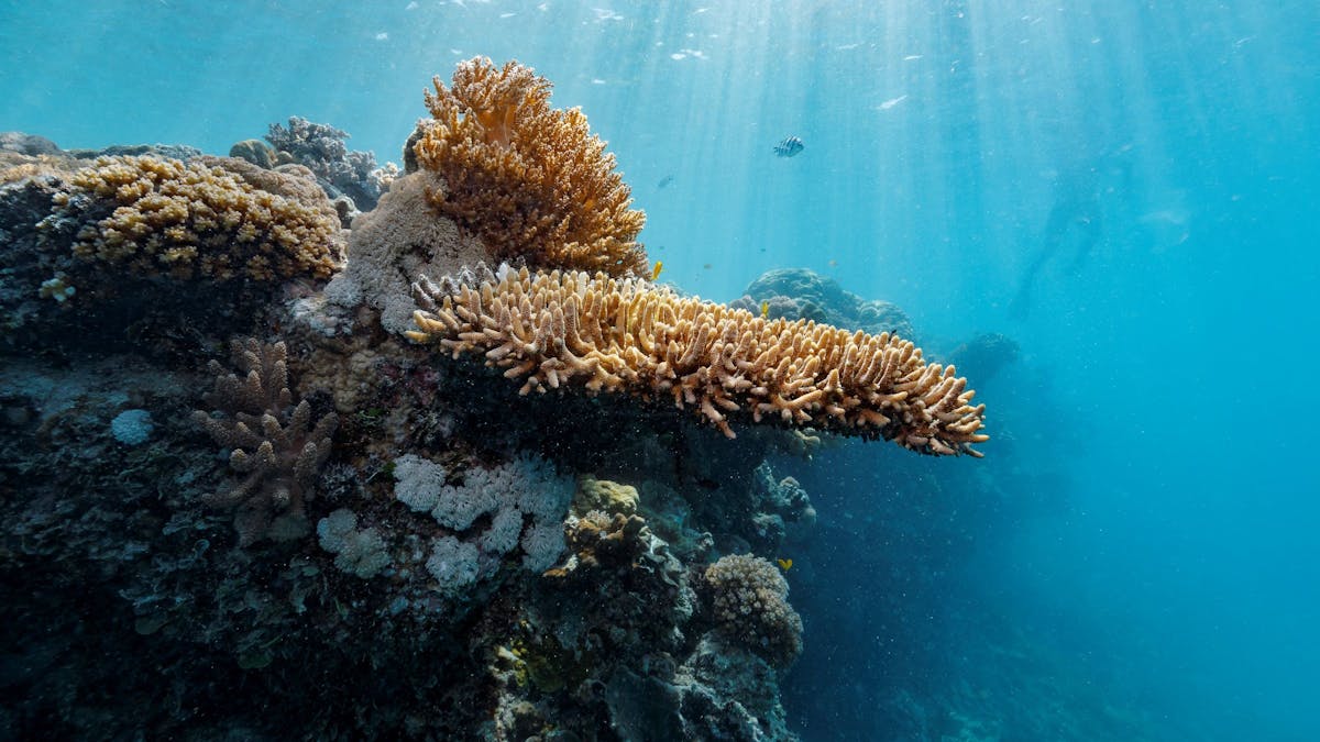 Great Barrier Reef