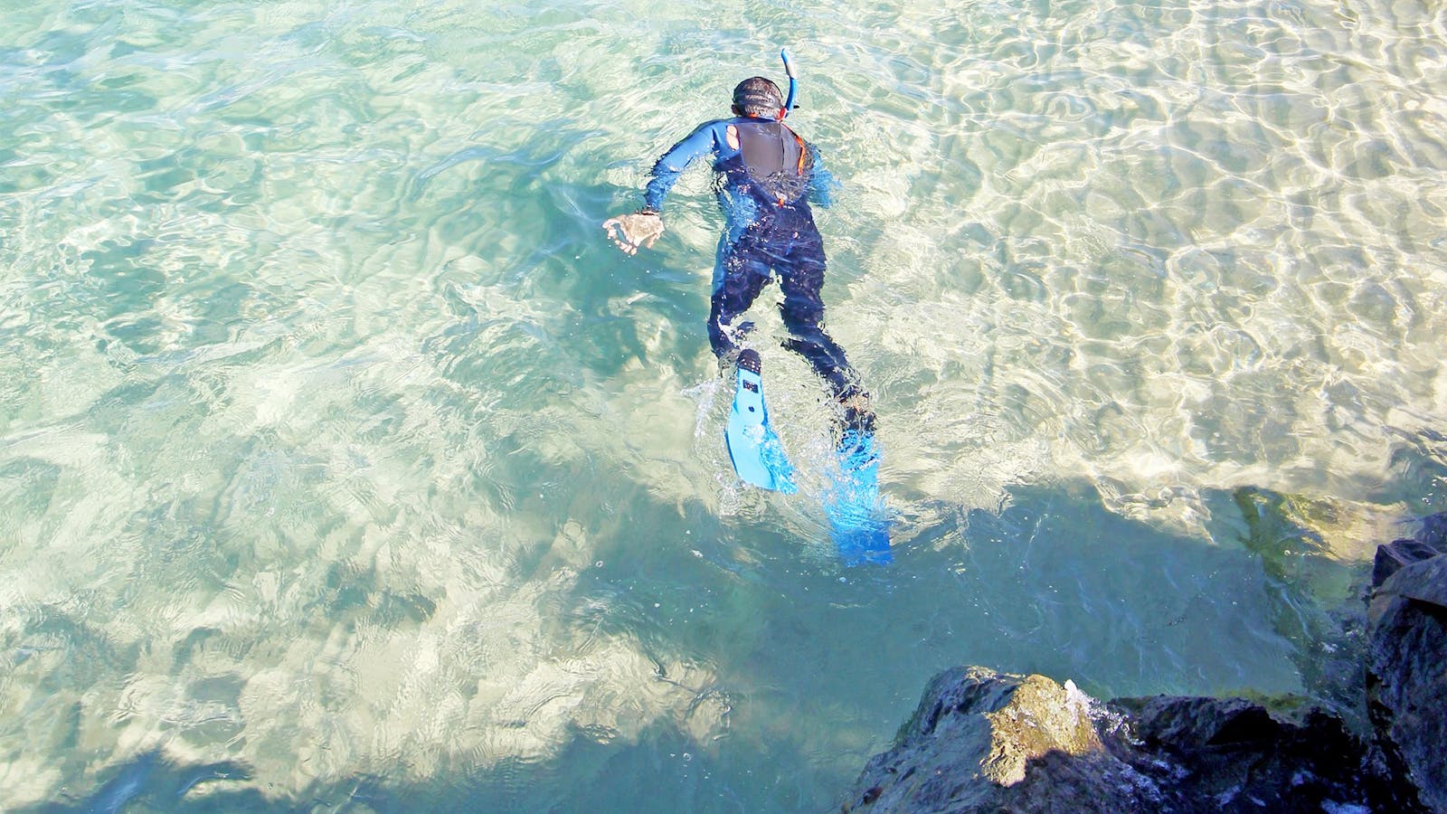Snorkelling Gold Coast