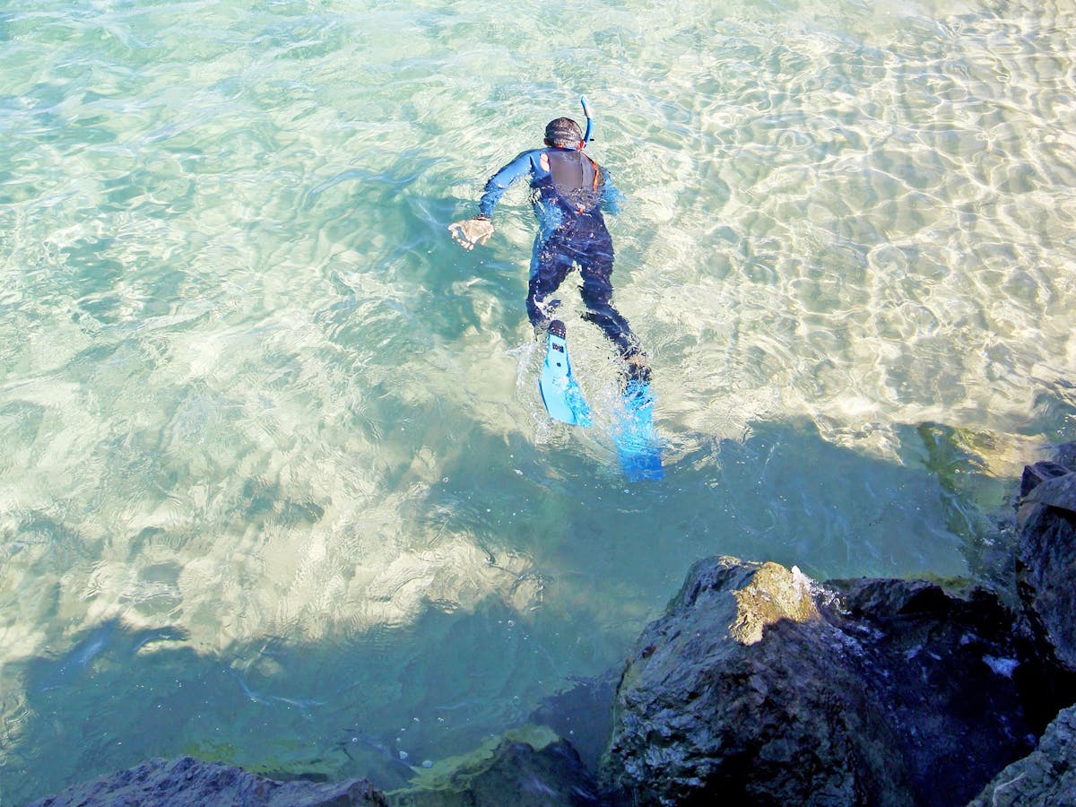 Queensland Scuba Diving Company Tour Queensland