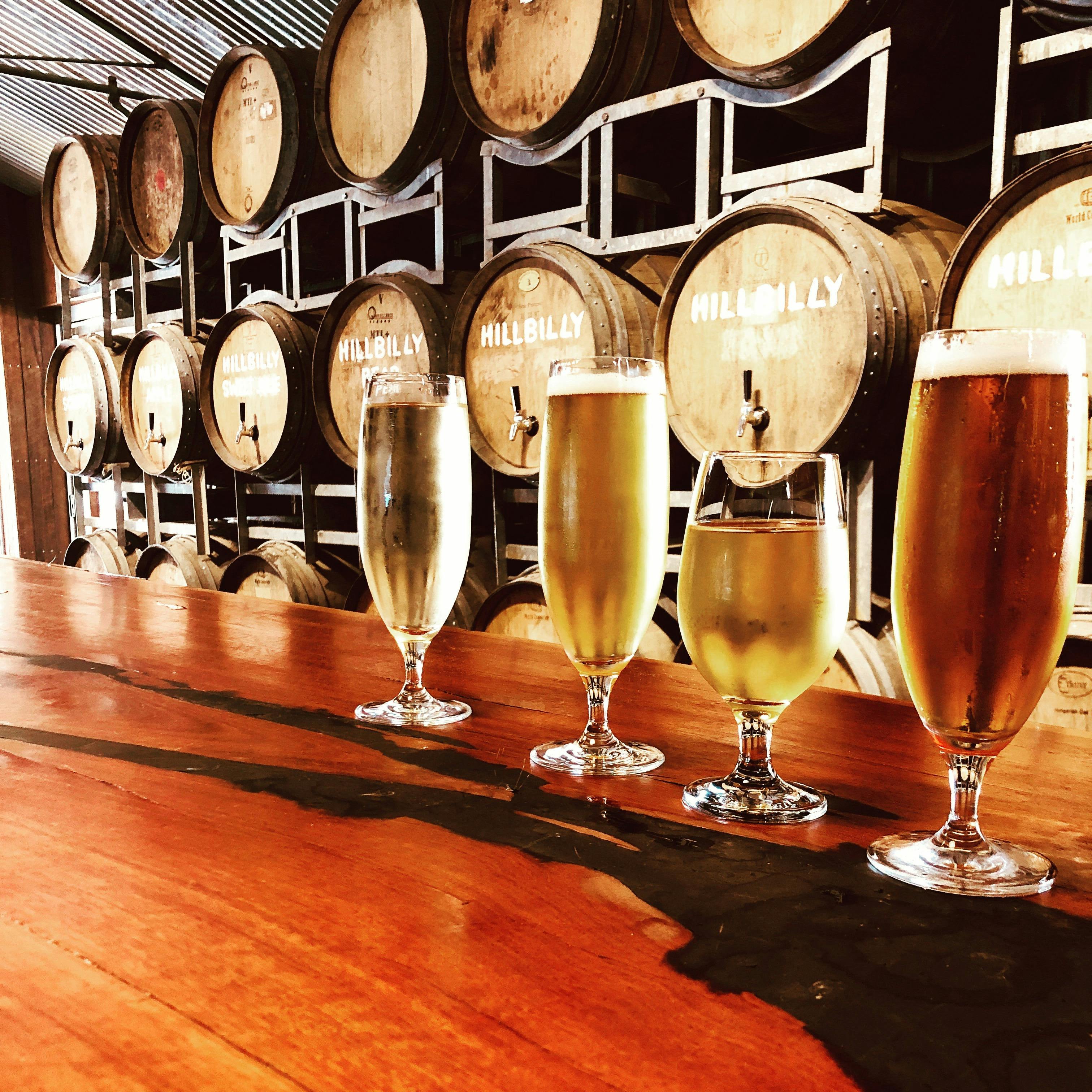 一排生苹果酒和啤酒杯，放在桶壁前的抛光条上