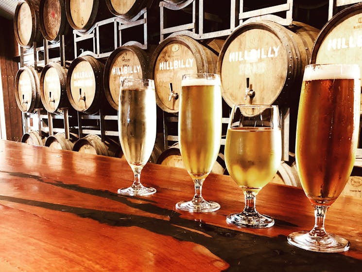 a line of draught cider and beer glasses on the polished bar in front of a wall of barrels