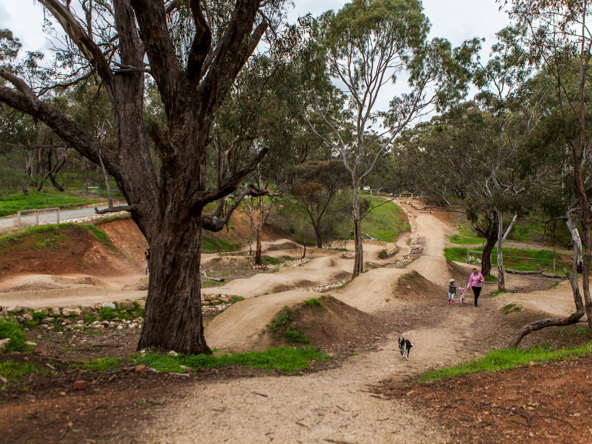 shepherds hill