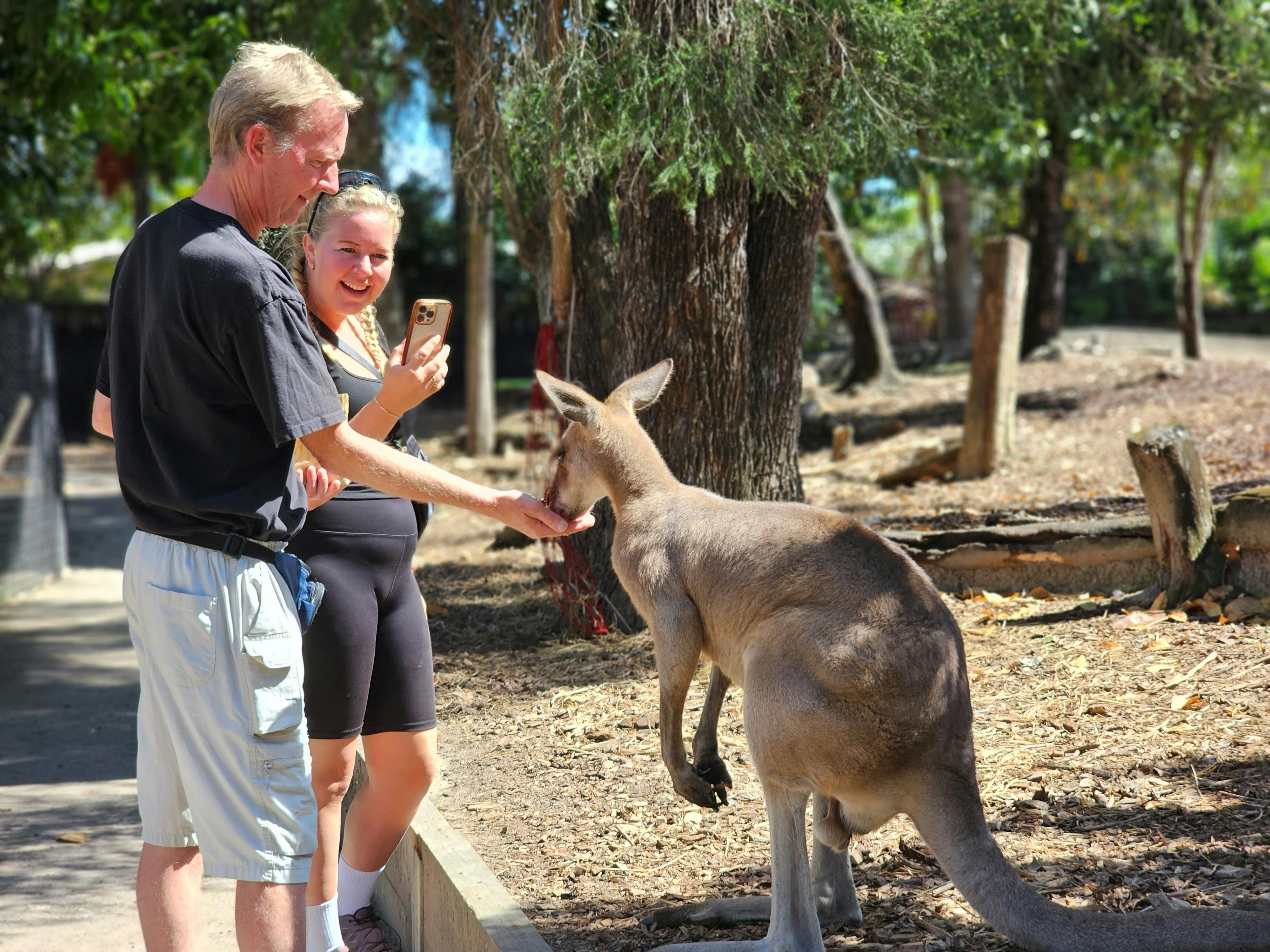 Tour 7A & 7B - Wildlife, The Daintree Rainforest & Mossmna Gorge