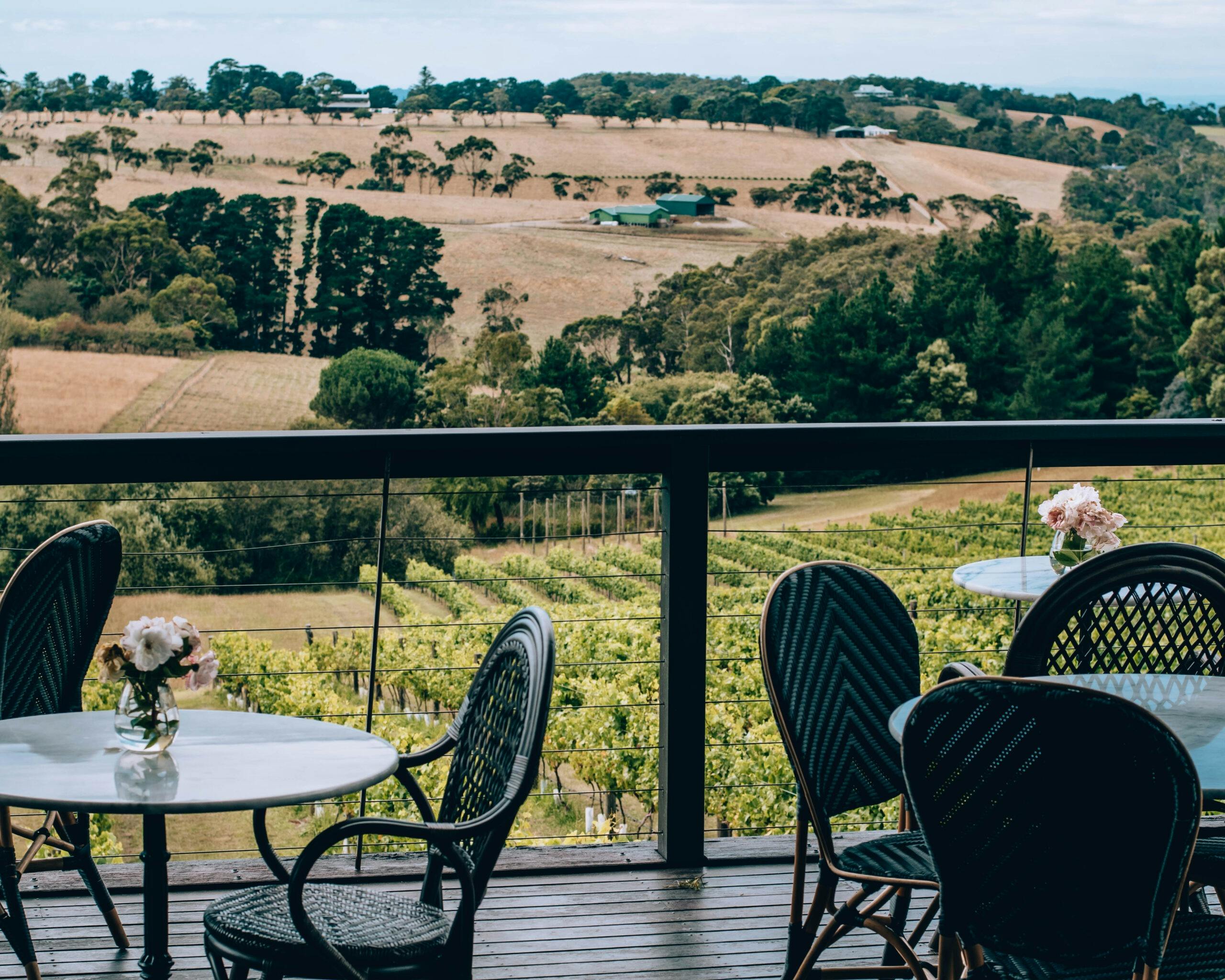 Tasting on the back deck